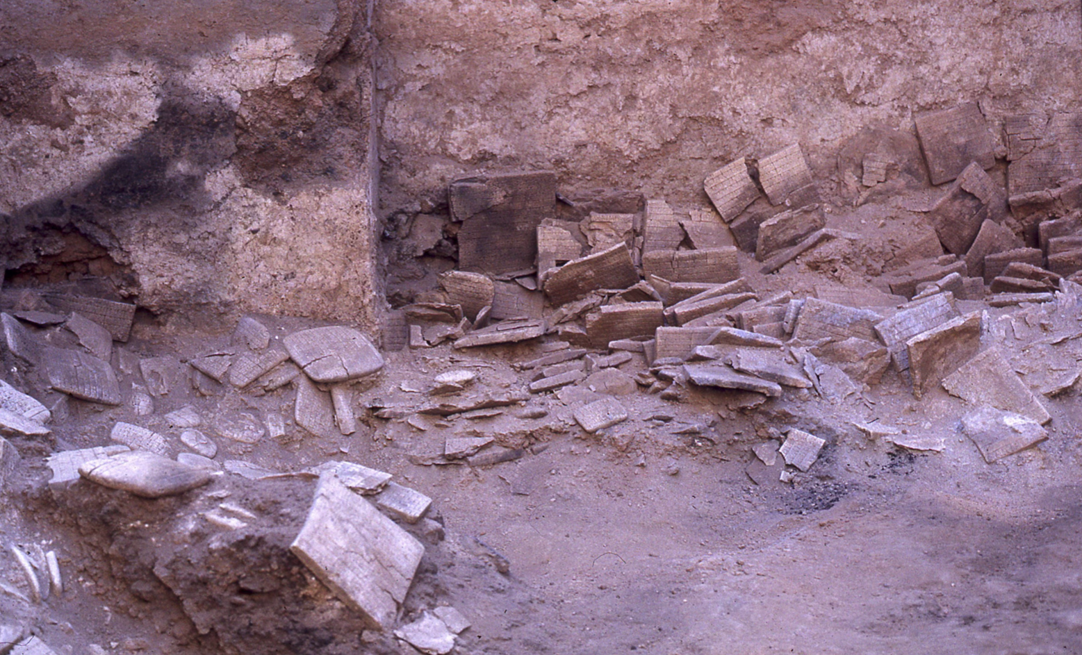 Cinquant’anni dopo Ebla continua a parlare. La scoperta degli Archivi di Stato nel 1975